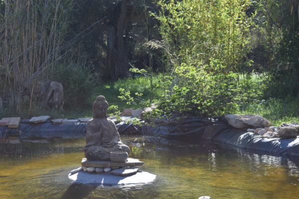 Fotos del Retiro de MEDITACION ZEN, 06-08 dic. 2024